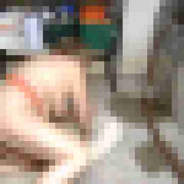Letsy4u2c
