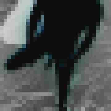 wasi_fragmich