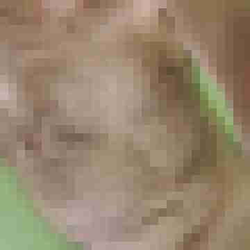 tx2473