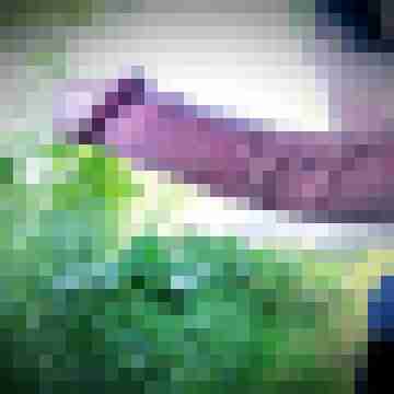 Squirtviewer12