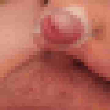 hornyxsar