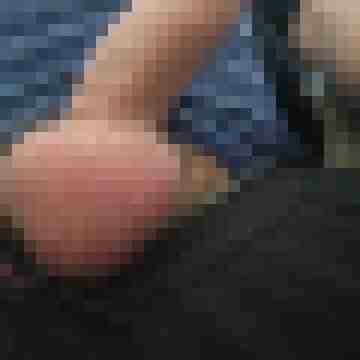 hornyxsar