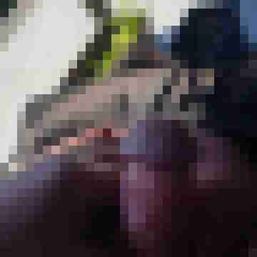Starki123