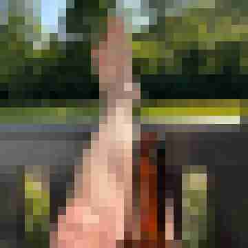 Abgreifer