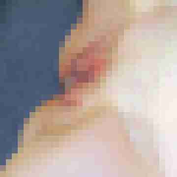seemann0706
