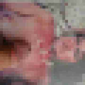 frankzeigt