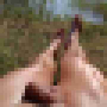 ffkfreund