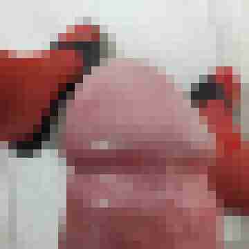 Honigmelone52