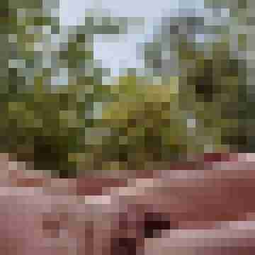 LTom65