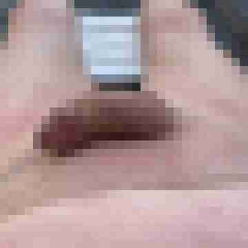 meinhenry