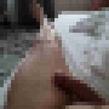 Heiko_45