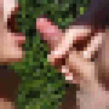 Bremer_Bub