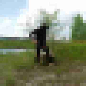 Berlinermitcreme