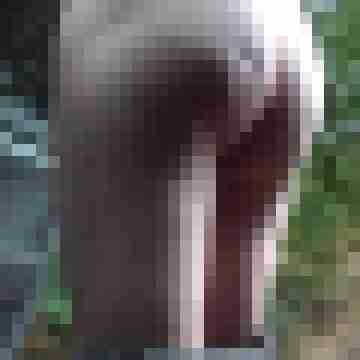 Ichsuchdich65