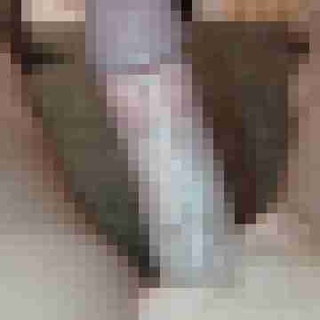 Stechpalme86