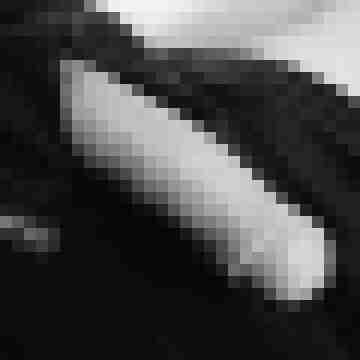 Stechpalme86