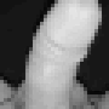 ao_perv_bi_paar_nord