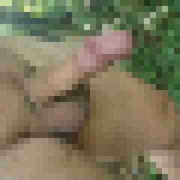 Sexyboy0180