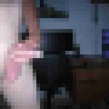 spermaschuss