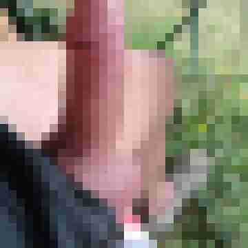scharly555