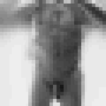 Darkp1111