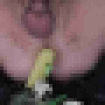 jimmbob006