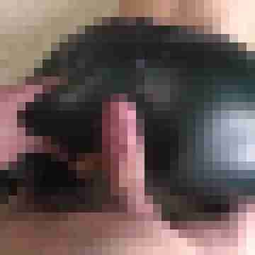 Nick_EA87