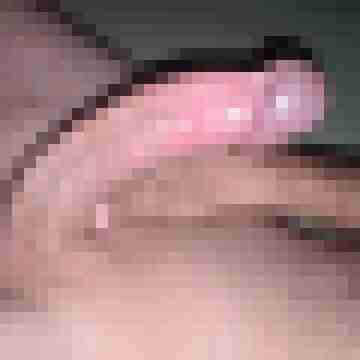 falcis
