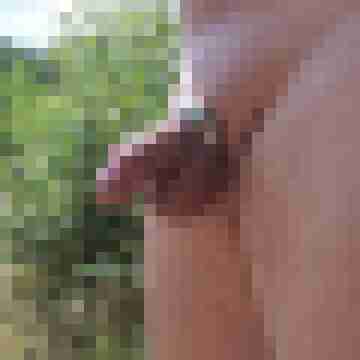 Sexyboy0180