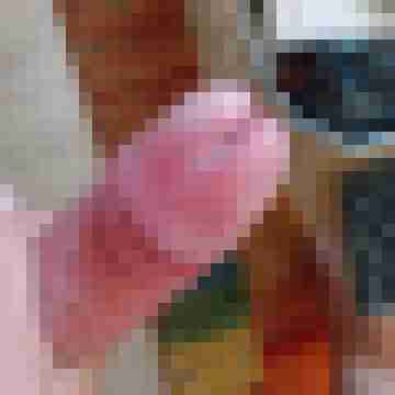 Spritzindich