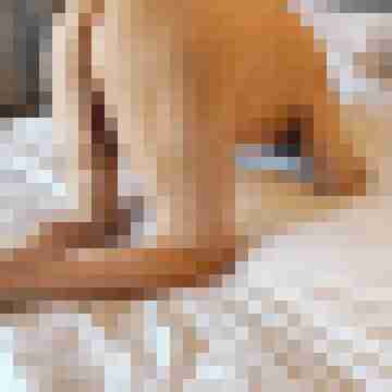 SpecialNeedTaunus