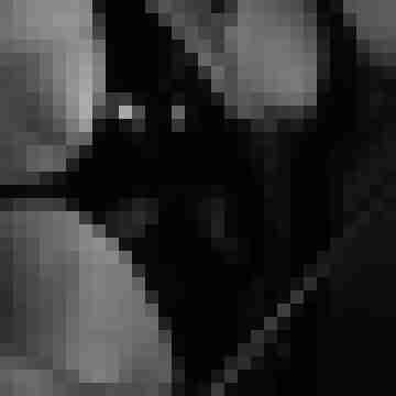 Messalina-Decimus