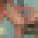 analgeilolli