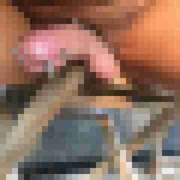 Gepierct21
