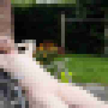 Vincend72