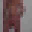 knoello