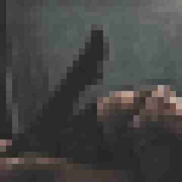 Phorus