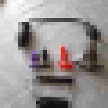 Mister_Monsieur