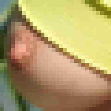 Prinzessin6969