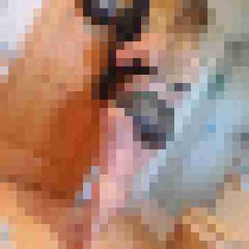 Mollyssecretpleasure