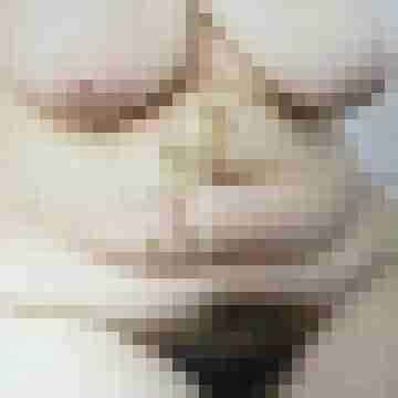 degenerachim