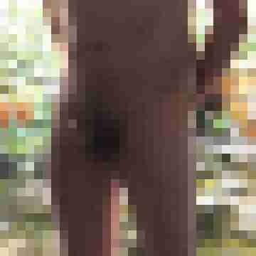Nackte-Wahrheiten