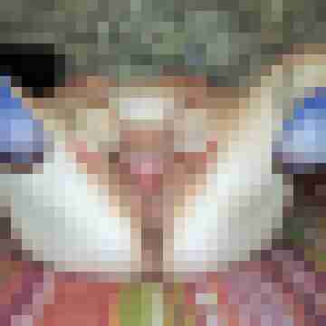 Nylongeiles_Paar