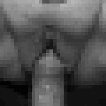 Morpheus_hh
