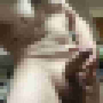 Fuckboy1990722