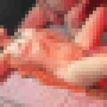 CreampiePaar666