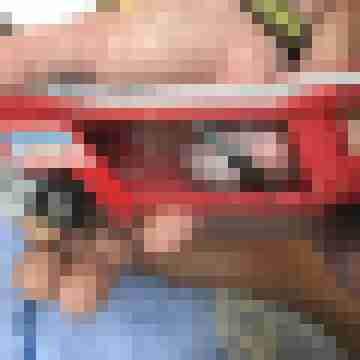 Poppel76