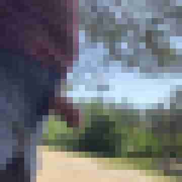 Nordicwalker01