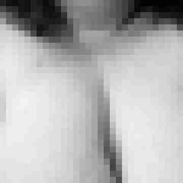 Curvymisanthrop