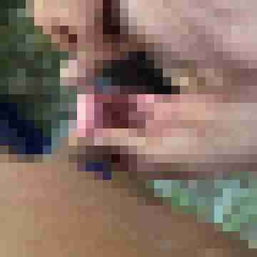OldieOldie